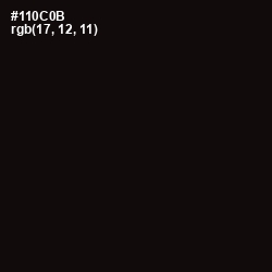 #110C0B - Asphalt Color Image