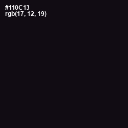 #110C13 - Cinder Color Image