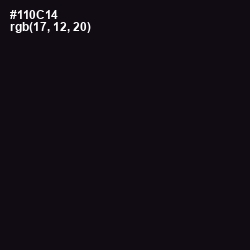 #110C14 - Cinder Color Image