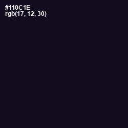 #110C1E - Ebony Color Image