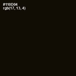 #110D04 - Asphalt Color Image