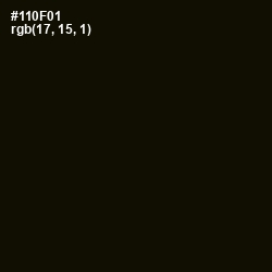 #110F01 - Asphalt Color Image