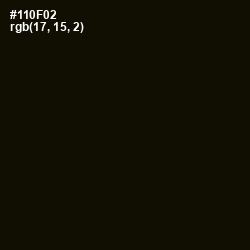 #110F02 - Asphalt Color Image