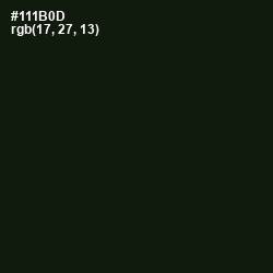 #111B0D - Green Waterloo Color Image