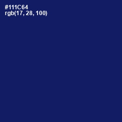 #111C64 - Lucky Point Color Image