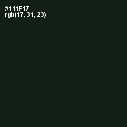 #111F17 - Hunter Green Color Image