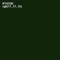 #11250C - Deep Forest Green Color Image