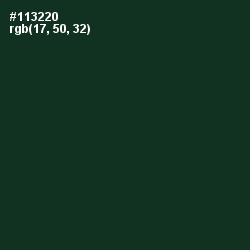 #113220 - Celtic Color Image
