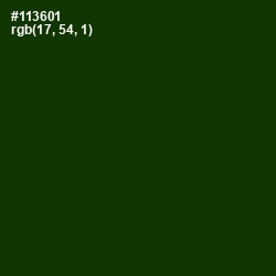 #113601 - Palm Leaf Color Image