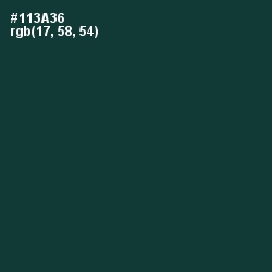 #113A36 - Gable Green Color Image