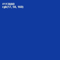 #113AA0 - International Klein Blue Color Image