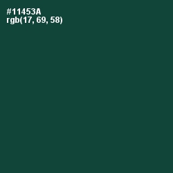 #11453A - Te Papa Green Color Image