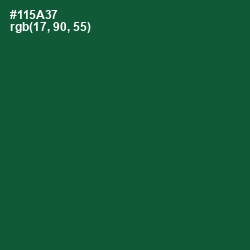 #115A37 - Te Papa Green Color Image