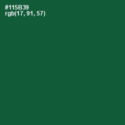 #115B39 - Te Papa Green Color Image