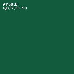 #115B3D - Te Papa Green Color Image