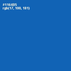 #1164B5 - Denim Color Image