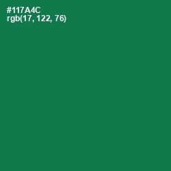 #117A4C - Salem Color Image
