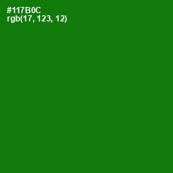 #117B0C - Japanese Laurel Color Image