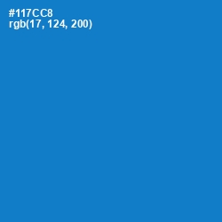 #117CC8 - Lochmara Color Image