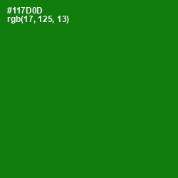 #117D0D - Japanese Laurel Color Image