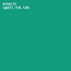 #119C7C - Elf Green Color Image