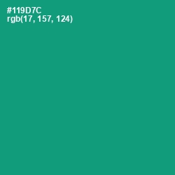 #119D7C - Elf Green Color Image