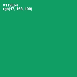 #119E64 - Observatory Color Image