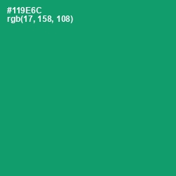 #119E6C - Observatory Color Image