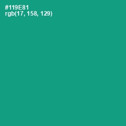 #119E81 - Gossamer Color Image
