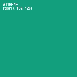 #119F7E - Elf Green Color Image