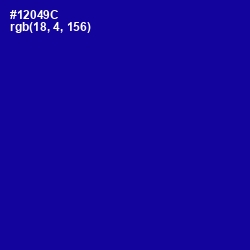 #12049C - Ultramarine Color Image
