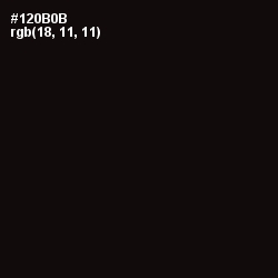 #120B0B - Asphalt Color Image