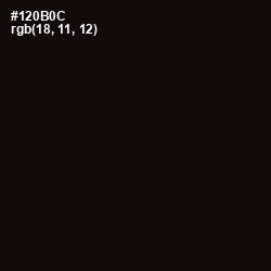 #120B0C - Asphalt Color Image