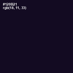 #120B21 - Black Pearl Color Image