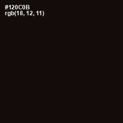 #120C0B - Asphalt Color Image