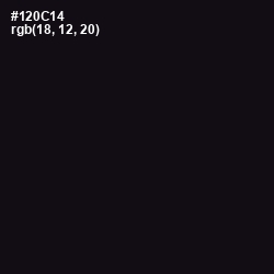#120C14 - Cinder Color Image