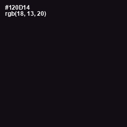 #120D14 - Cinder Color Image