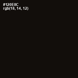 #120E0C - Asphalt Color Image