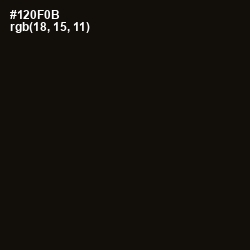 #120F0B - Asphalt Color Image