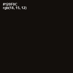 #120F0C - Asphalt Color Image