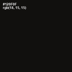 #120F0F - Asphalt Color Image