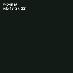 #121B16 - Hunter Green Color Image