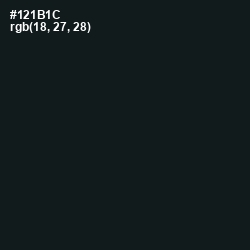 #121B1C - Vulcan Color Image