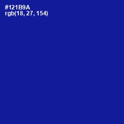 #121B9A - Ultramarine Color Image