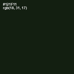 #121F11 - Hunter Green Color Image