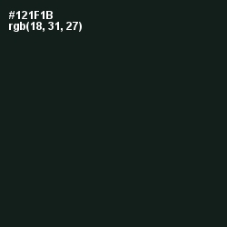 #121F1B - Hunter Green Color Image