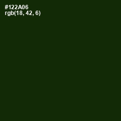 #122A06 - Deep Forest Green Color Image