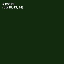 #122B0E - Deep Forest Green Color Image