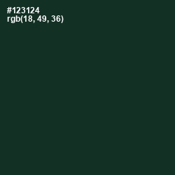 #123124 - Celtic Color Image