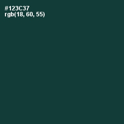 #123C37 - Gable Green Color Image